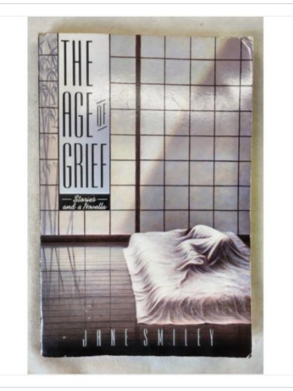 The Age of Grief Jane Smiley 1987 Knopf 1st Ed